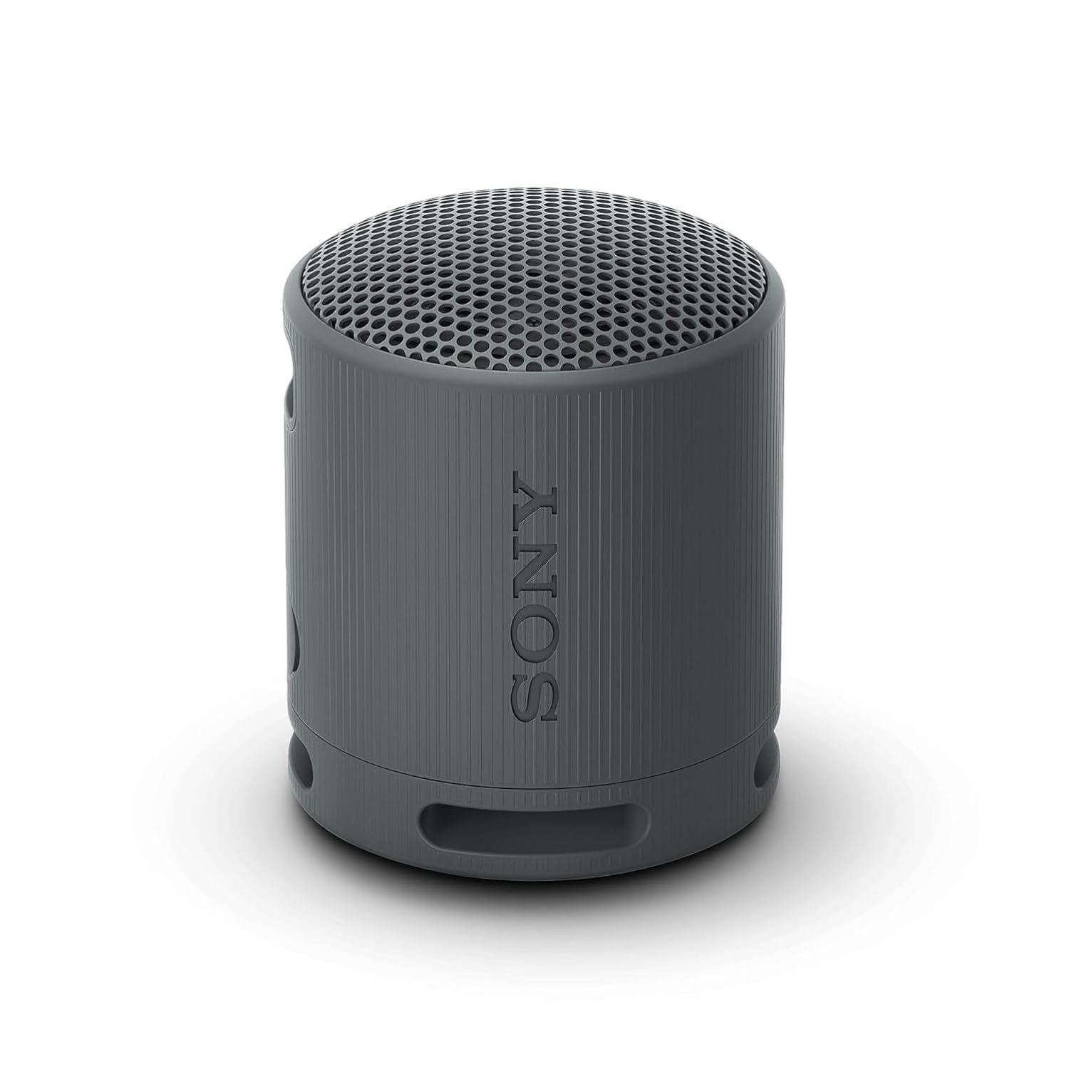Sony SRS-XB100
